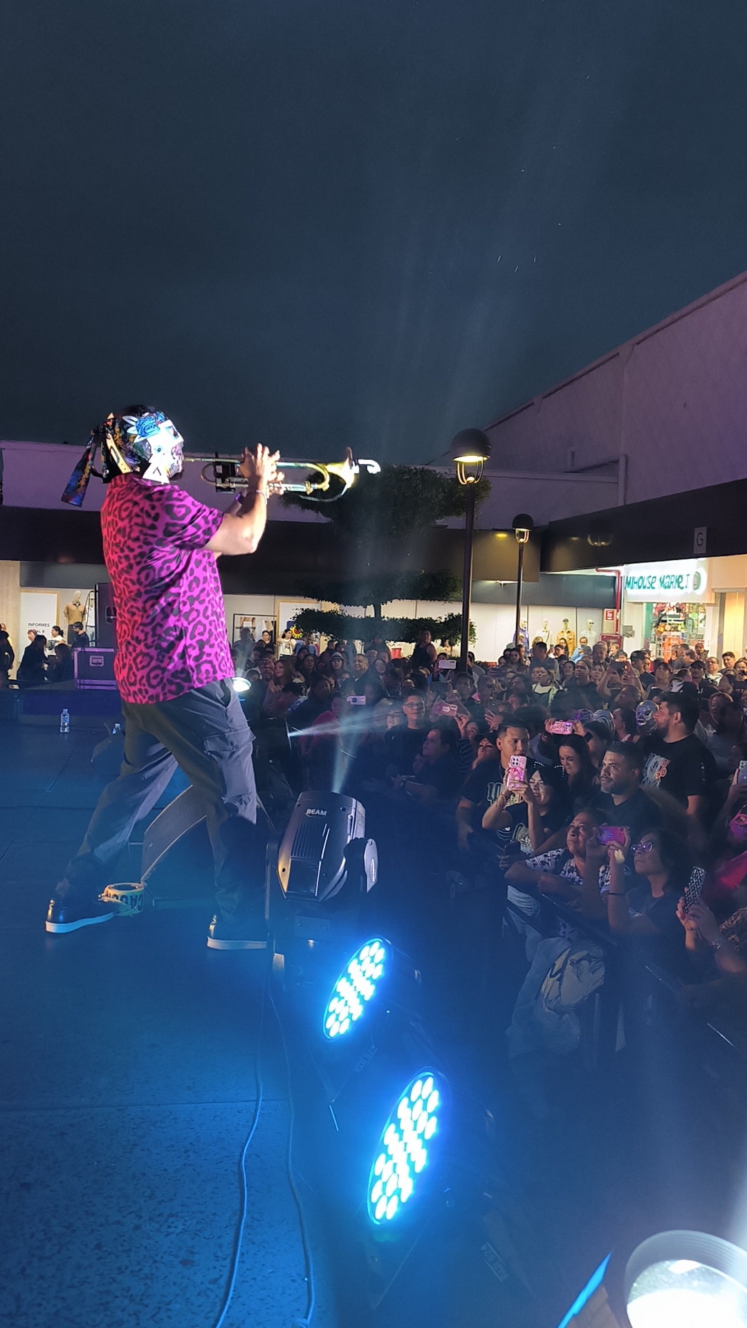 Galería Lucha Kumbia